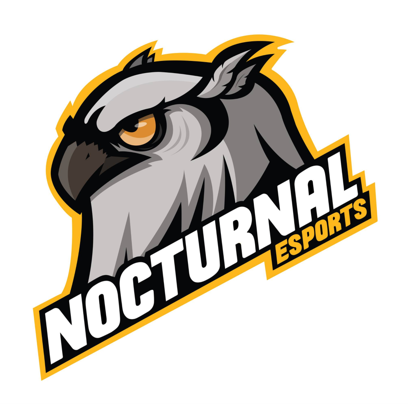 Nocturnal's third logo
